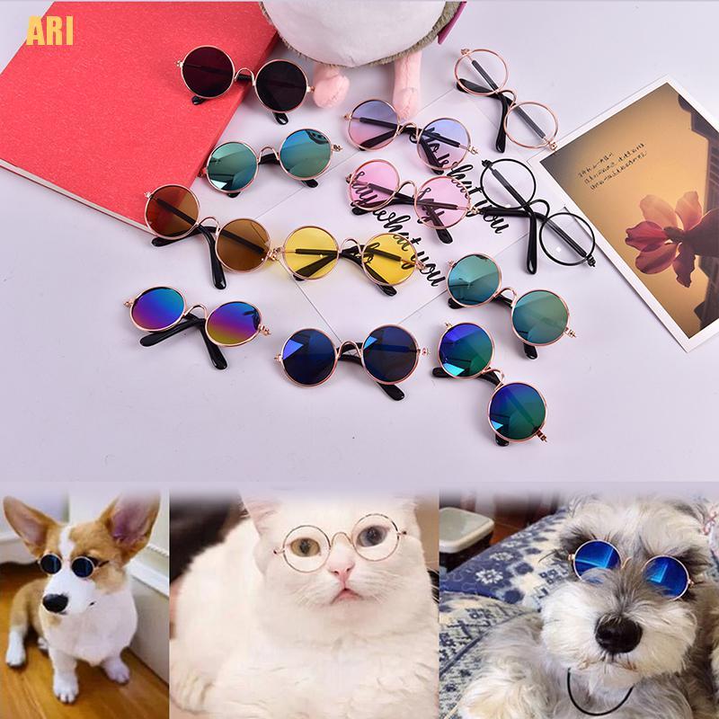 Mắt Kính Thời Trang Cá Tính Làm Phụ Kiện Chụp Ảnh Cho Thú Cưng
