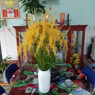 20 cây Bông Lúa vàng trang trí phong thủy