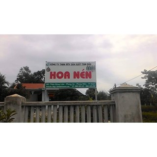 Tinh dầu tràm cao cấp Hoa Nén