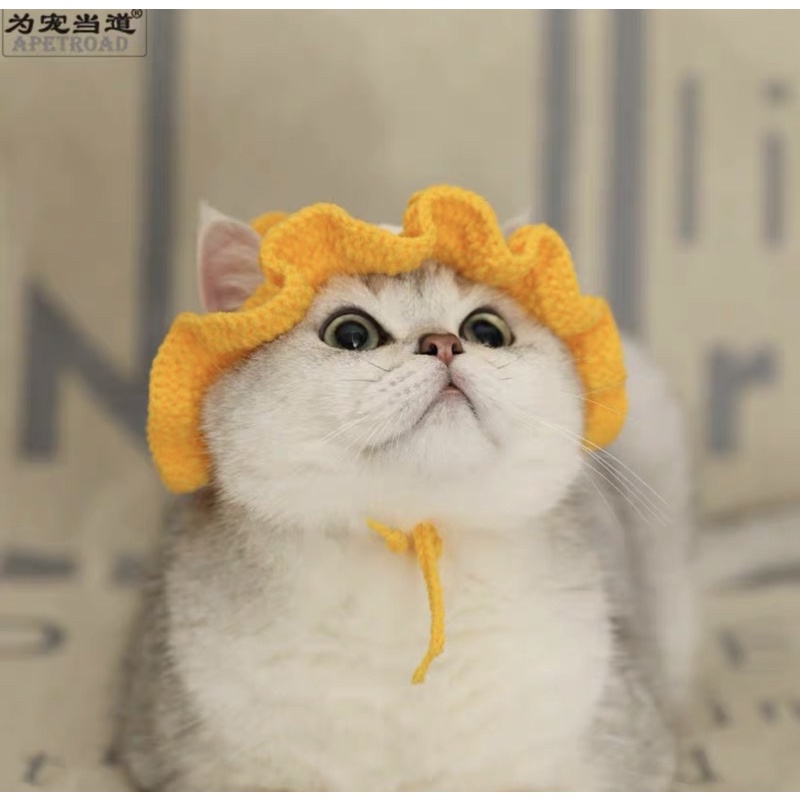 Nón len lân mặc tết cho mèo, cún, thỏ,…