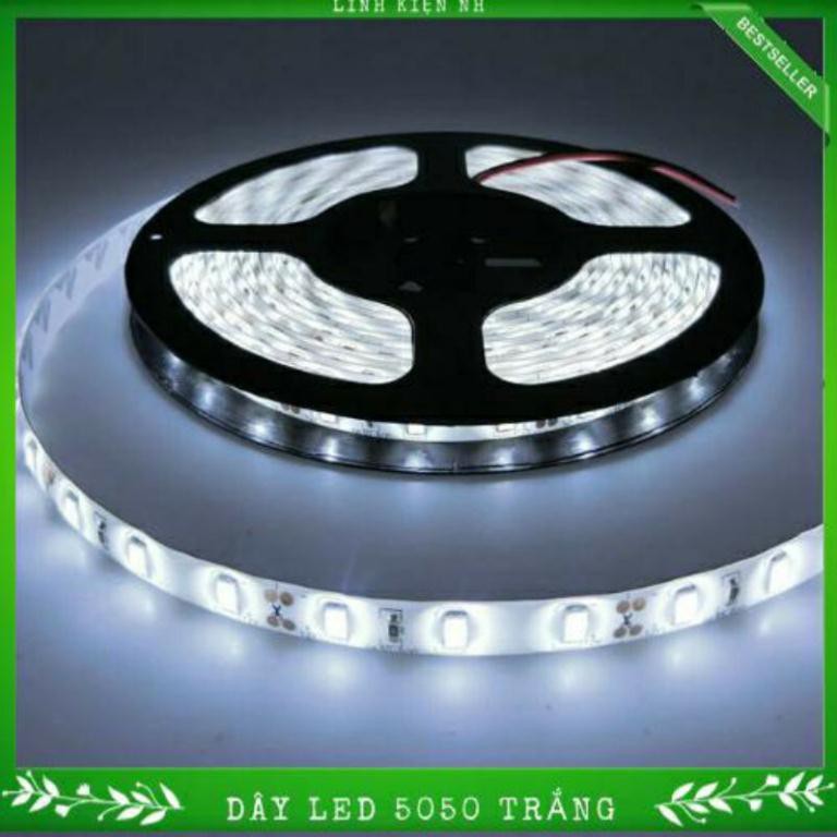 Dây Led 5050 DC12V Chống nước Nhiều màu 5M/Cuộn