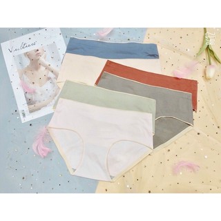 Set 10 Quần Lót Cotton Đúc Su