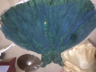 Đam cong chua