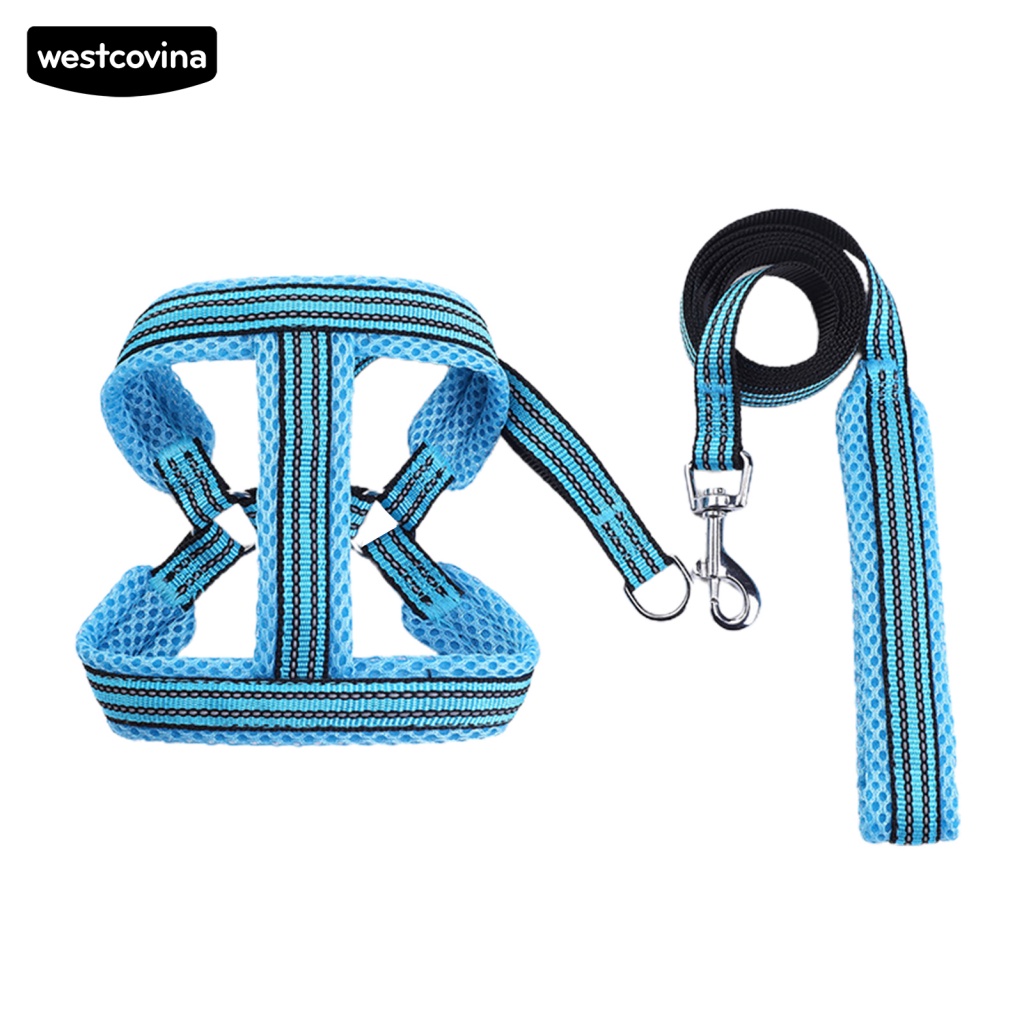 Dây Dắt Chó Phản Quang Thoáng Khí Chống Rách Màu Sáng