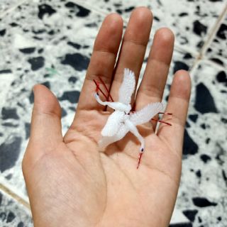 COMBO CẶP CÒ TRANG TRÍ HỒ CÁ