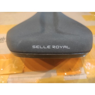 Yên Giant XTC 2022 Sellroyal
