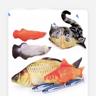 Cá ôm nhồi Catnip cho mèo