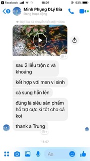 Men vi sinh hồ cá Bingo