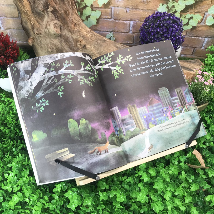 Sách - Câu chuyện khoa học: Bạn Cáo trong đêm