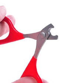 Kìm cắt móng mèo phổ biến nhất