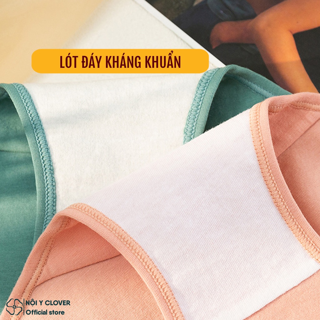 Quần Lót Cotton Siêu Co Giãn Lót Đáy Kháng Khuẩn Nâng Mông Gợi Cảm ELSA BRA - 365