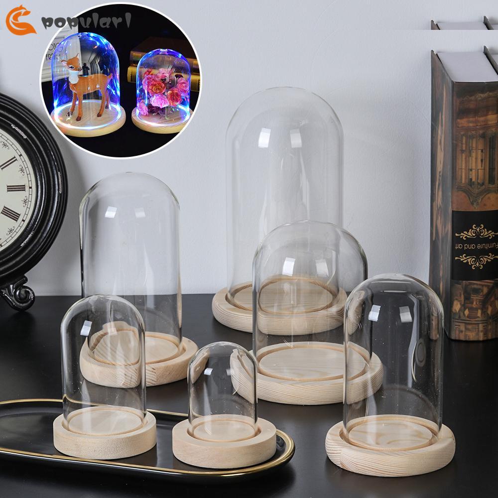 Lọ Hoa Thủy Tinh Trong Suốt Kèm Đế Gỗ Dùng Trang Trí Nhà Cửa