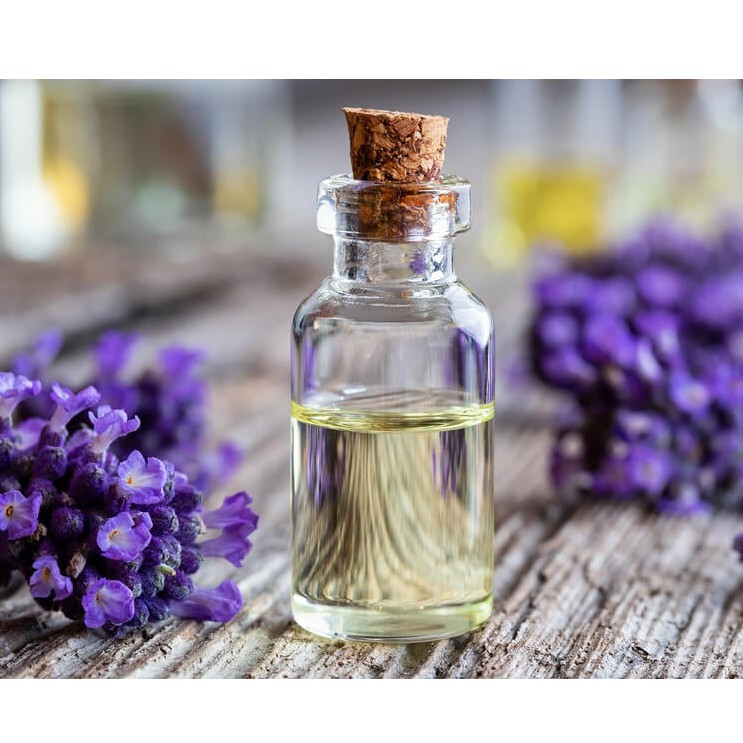 Tinh dầu oải hương (Lavender) nguyên chất Orgnaic từ thiên nhiên - KingOil