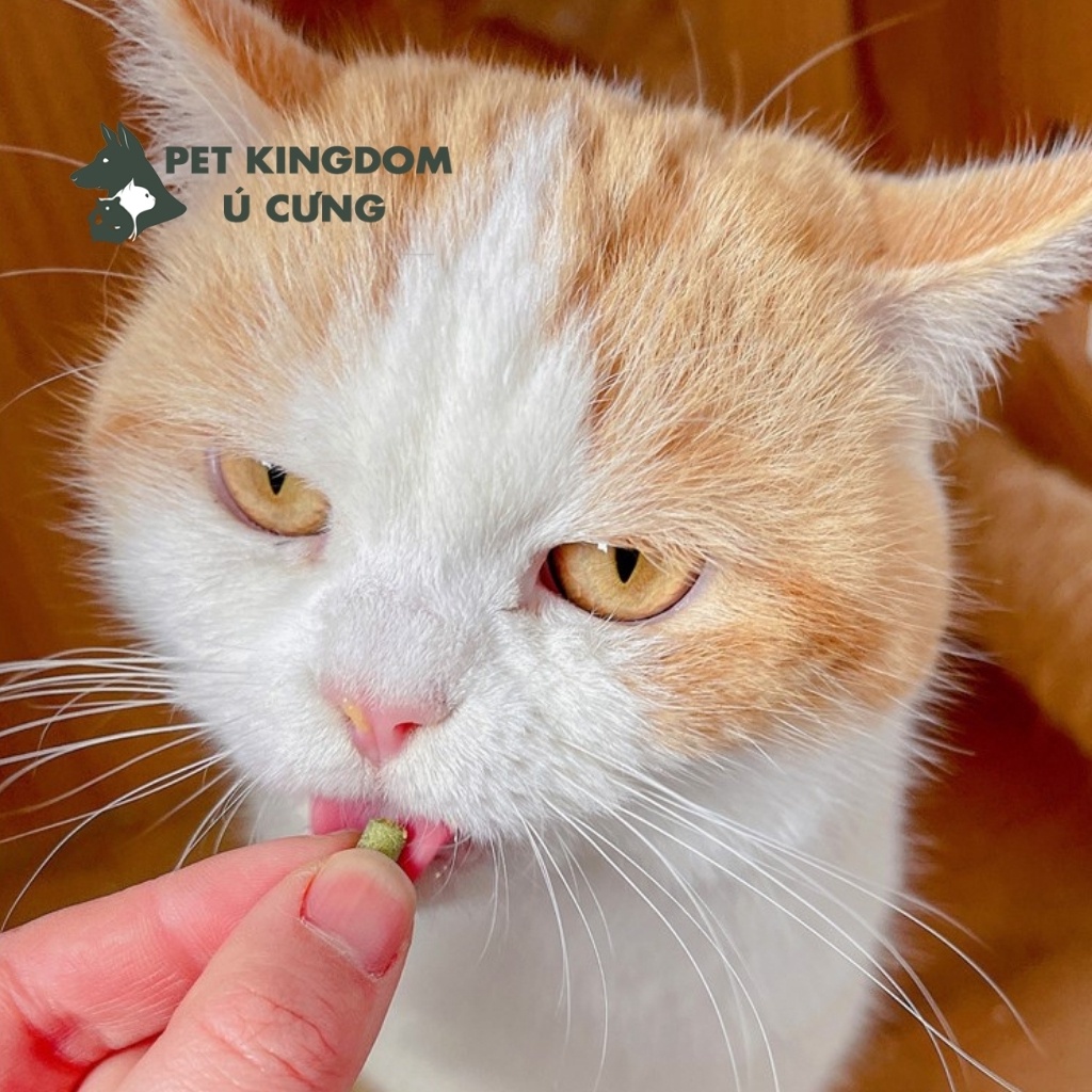 Catnip Cỏ Nén Viên Cho Mèo Giảm Búi Lông Túi 100g