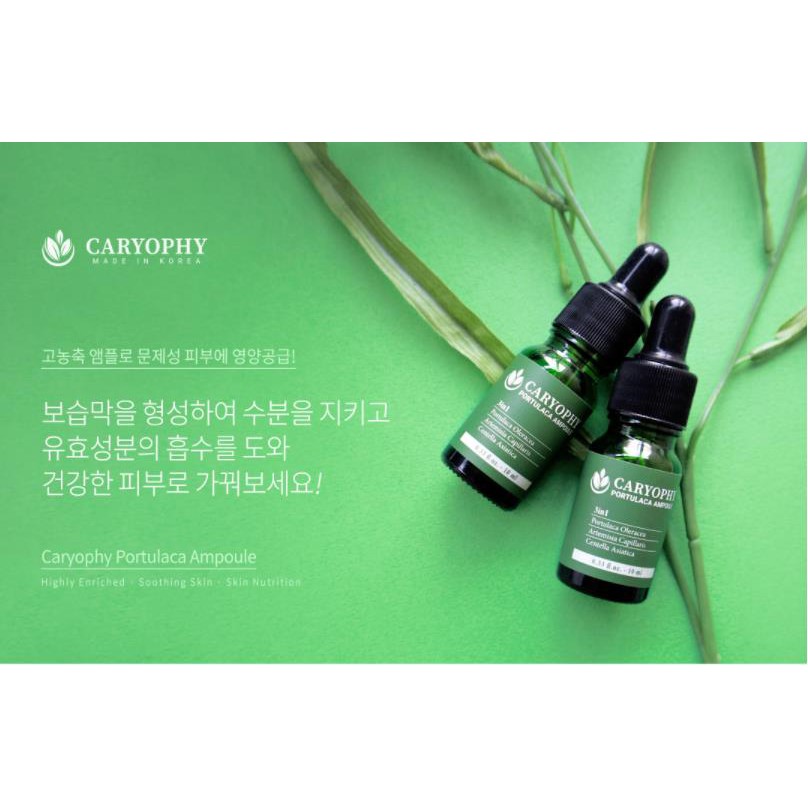 Combo giảm mụn, thâm Caryophy Portulaca Ampoule (Toner + Serum )