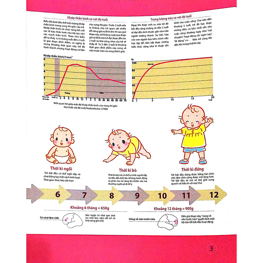 Sách - Combo Dạy Con Kiểu Nhật - Giai Đoạn 0 Đến 2 Tuổi (Bộ 3 Cuốn) | BigBuy360 - bigbuy360.vn