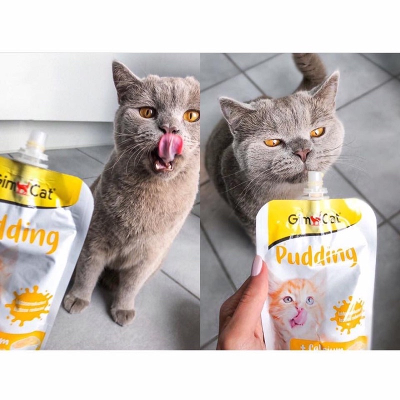 Gói Pudding Gimcat cho mèo bổ sung canxi