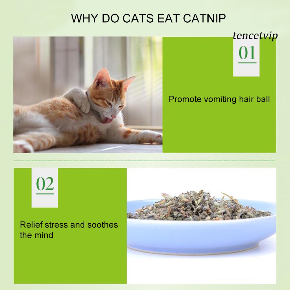 Túi 5G Bột Bạc Hà Tự Nhiên Làm Sạch Miệng Cho Mèo