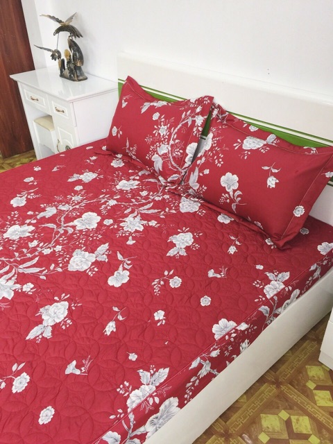 Bộ ga chun Hàn quốc Elective vải nhập