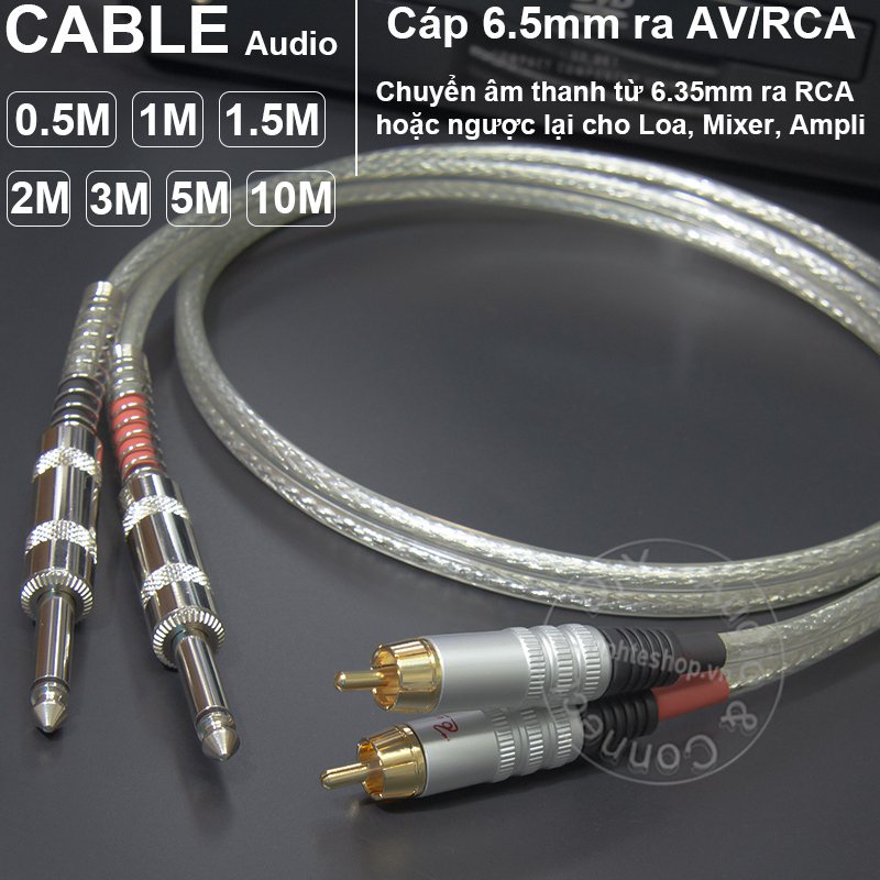 Cặp cáp 6.5mm sang hoa sen AV/RCA