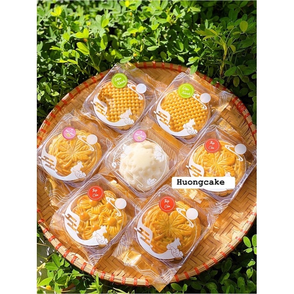 Túi đựng bánh trung thu size 11 đựng bánh 250-300gr