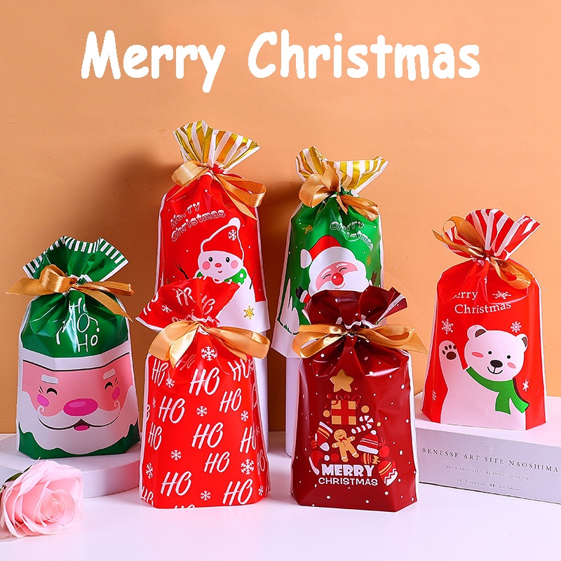 Bộ 10 Túi Đựng Bánh Quy Chủ Đề Giáng Sinh