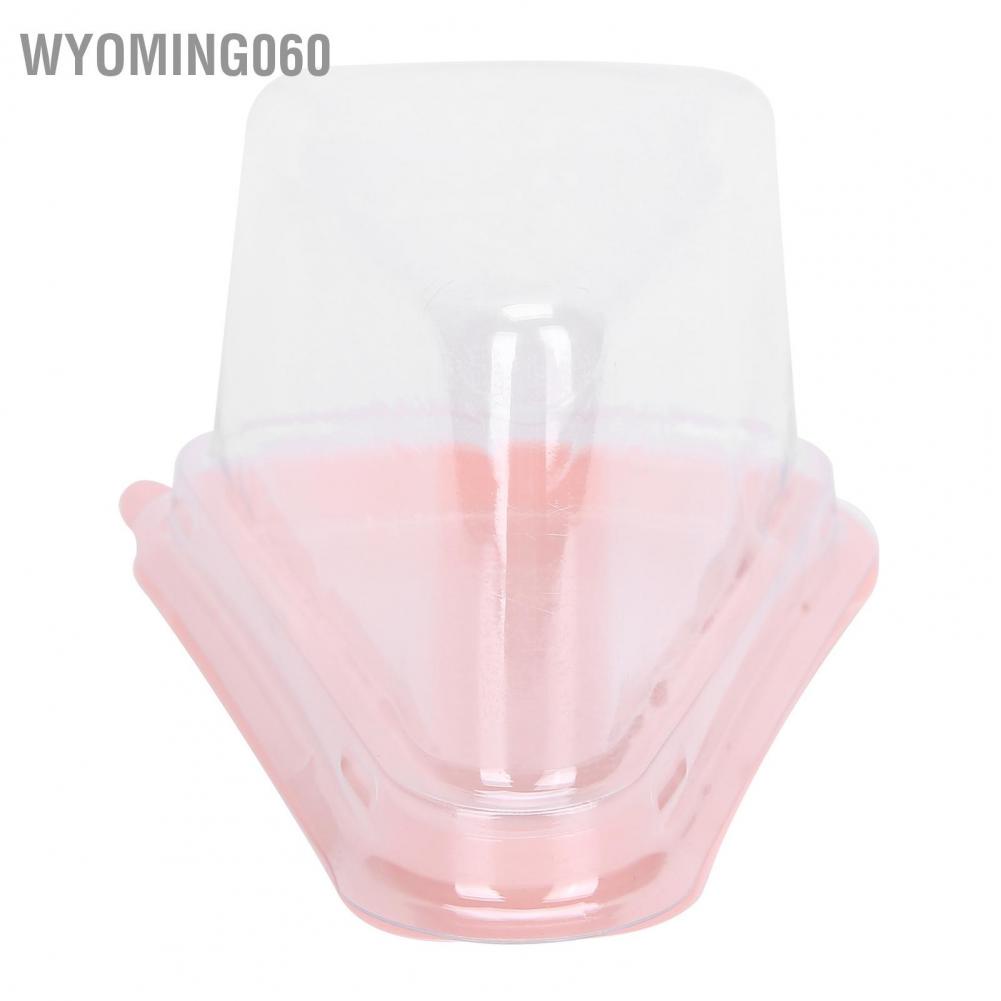Wyoming060 100Pcs Triangular Cake Holder Box Transparent PET Food Cupcake Packaging Container
