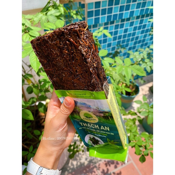 Thạch đen Cao Bằng ( dạng lá ép, không phải dạng bột nha)