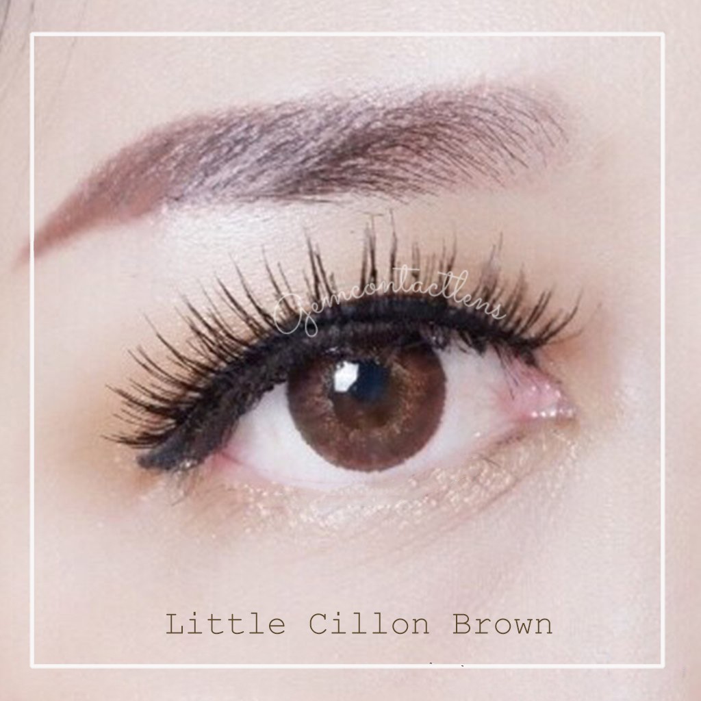 Lens giãn tròng KELLY/ CHIFFON/ LITTLE CILLON BROWN - HSD 1 NĂM