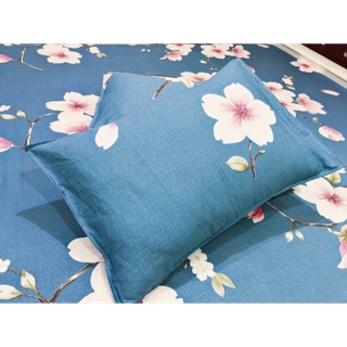 Bộ ga gối cottong lạnh