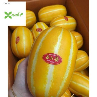 Hạt giống cây Dưa lê vàng Hàn Quốc (10 hạt)