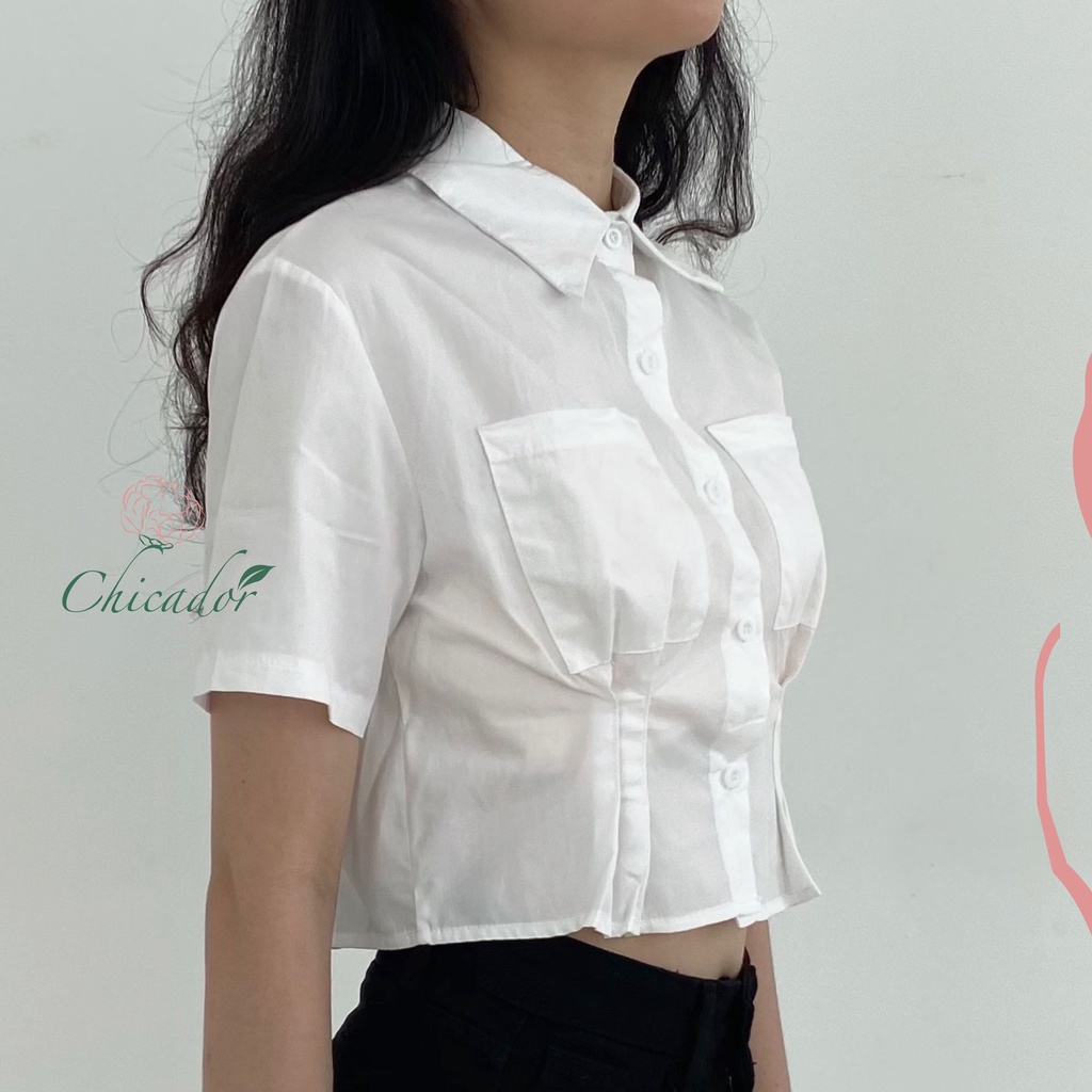 THE CHICADOR - Áo sơ mi croptop trắng xinh ôm eo Hàn Quốc - Ảnh thật