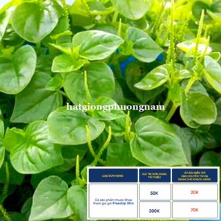 0,5GR - HẠT GIỐNG RAU CÀNG CUA