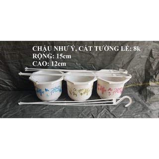 combo 30 chậu như ý