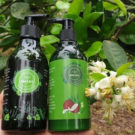 [Freeship] - Dầu Gội Thảo Dược Organic -  Mọc Tóc - Chống Rụng Tóc - Phục Hồi Tóc Hư Tổn - 350ml | BigBuy360 - bigbuy360.vn