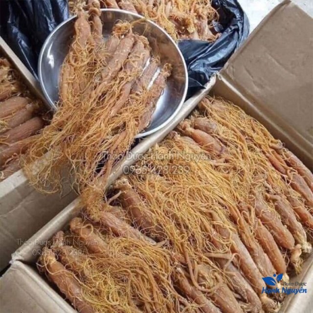 Nhị Hồng Sâm (Nhân Sâm, Sâm Râu) 100g - Nguyên chất không tẩm mật ong