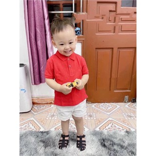 Set 3 áo polo cotton bé trai