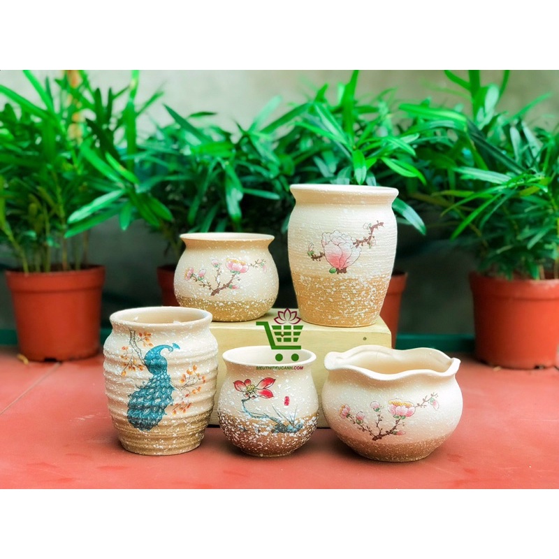 CHẬU HOA CAO CẤP