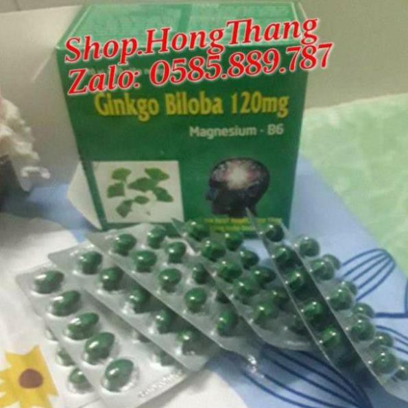 Ginkgo Biloba 120mg Bổ Sung Dưỡng Chất Cho Não Q10 100 viên