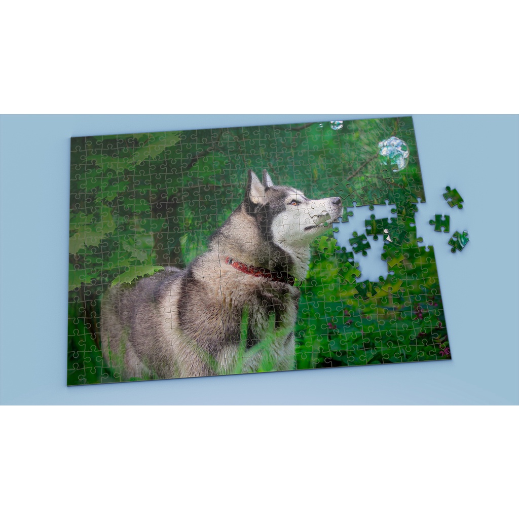 Tranh ghép hình HUSKY - Mẫu 3 - Nhận in theo yêu cầu