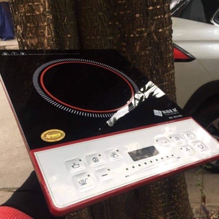 Bếp từ đơn Arber AB303MD