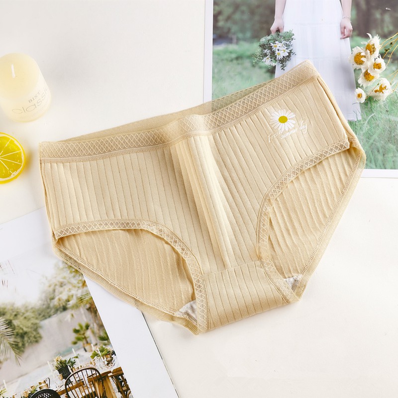 Quần Lót Cotton In Hình Hoa Cúc Xinh Xắn Cho Nữ | BigBuy360 - bigbuy360.vn