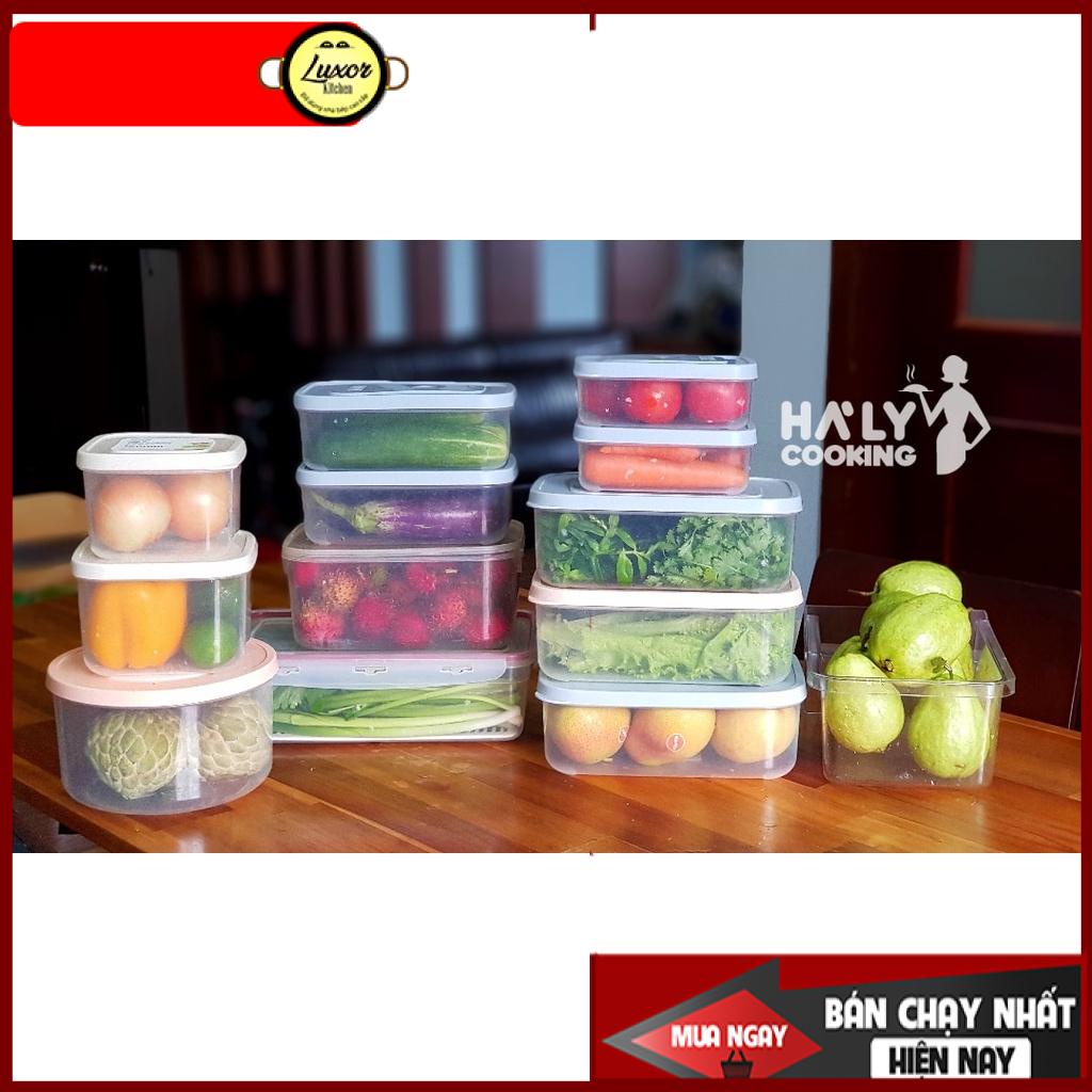 Bán lẻ - bán bộ 6 hộp nhựa cao cấp nắp dẻo đựng thực phẩm chữ nhật Hokkaido 500ml -750ml -1000ml -1500ml-2000ml -2500ml