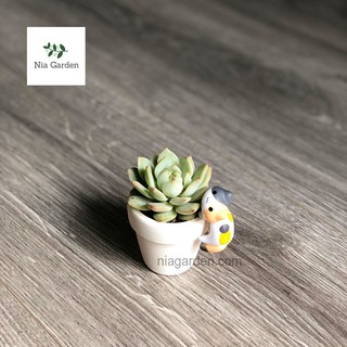 Chậu đất nung gờ cao siêu nhỏ 5x5 cm