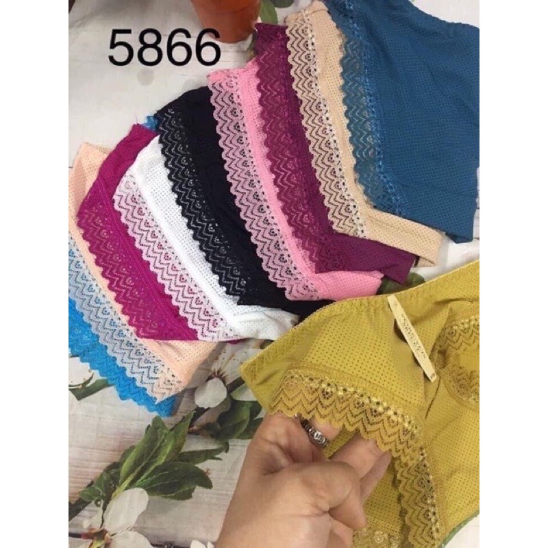 QUẦN LÓT VIỀN REN THÔNG HƠI THÁI LAN , Quần chip su ren mát mẻ MS 5866 - 5865 | BigBuy360 - bigbuy360.vn