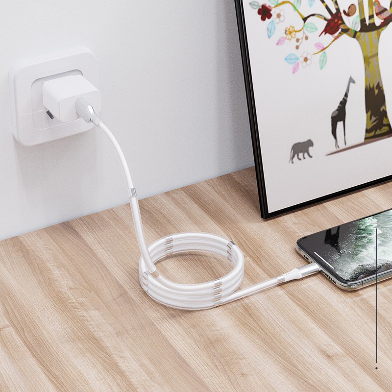 Dây cáp sạc từ tính micro type C thích hợp cho Iphone