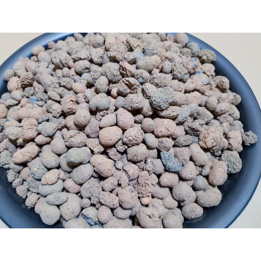 Giá Thể Viên Đất Nung Sỏi Nhẹ SFARM Kích Thước 5 - 10 MM Chuyên Trồng Cây Cảnh Thủy Canh, Rau Ăn Lá