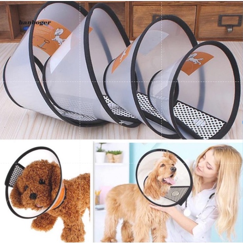 Loa Chống Liếm Thuốc Vòng Đeo Cổ Chống Liếm Cho Chó Mèo Thú Cưng