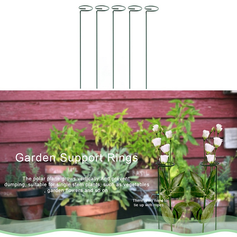 Hot sale! Thanh Đỡ Hỗ Trợ Trồng Cây Cà Chua amaryllis