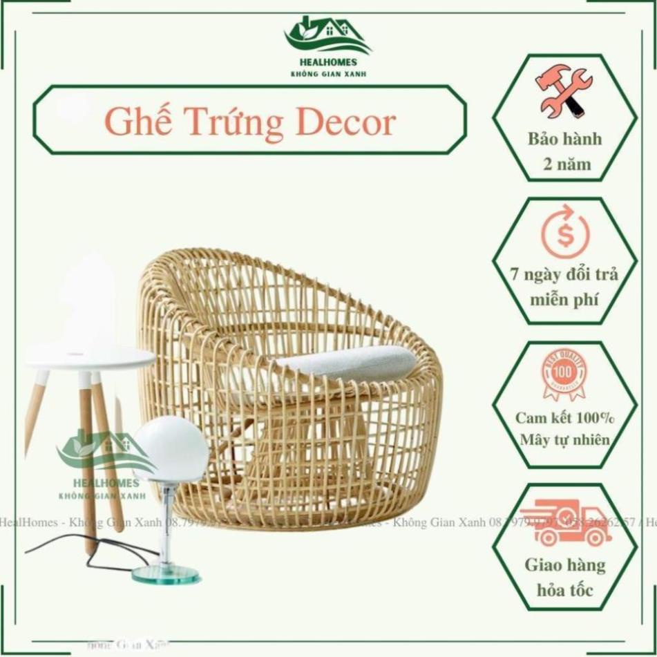 Ghế trứng decor phòng khách, Dùng Đọc Sách Thư Giãn, trang trí ban công và phòng ngủ, quán cafe sân vườn / HealHomes